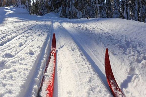 Лыжную трассу в Заречном планируется вывести на качественно новый уровень