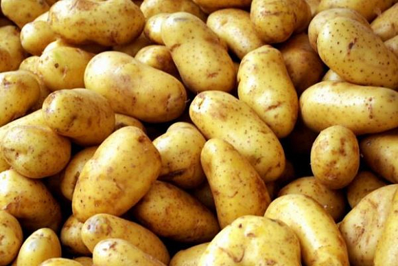 В Пензе 23 августа будут продавать картофель от местного сельхозпроизводителя