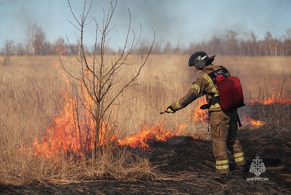 В Пензенской области пожарные за выходные 70 раз выезжали на тушение травы