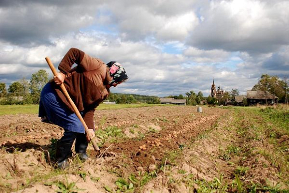 В Пензенской области планируют ввести в сельхозоборот 200 тыс. га неиспользуемых земель