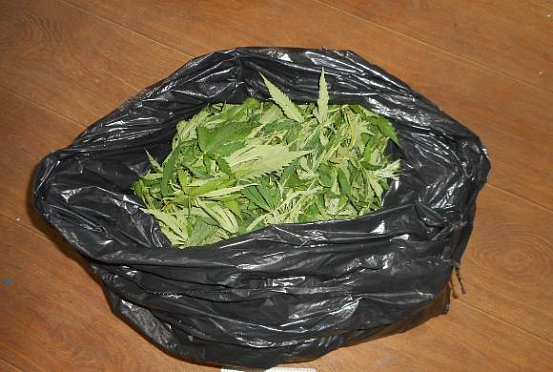 У 28-летнего пензенца обнаружили в пакете 400 гр марихуаны