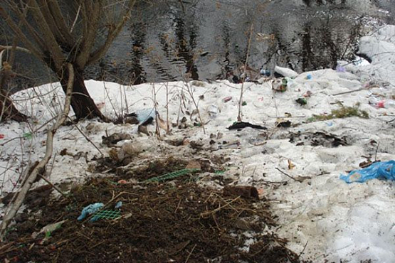 В Мокшанском районе три несанкционированные свалки угрожают экологии