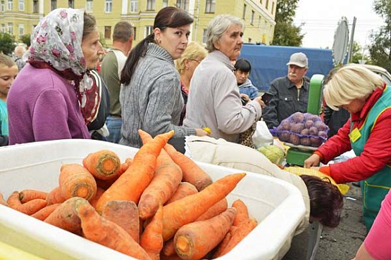 В Пензе увеличат число сезонных ярмарок