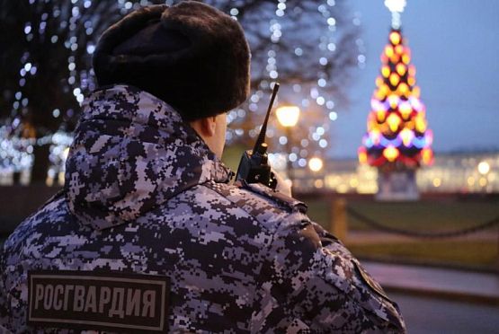 В Пензенской области в новогоднюю ночь будут дежурить более 200 росгвардейцев