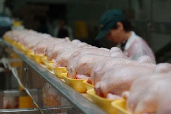 Пензенская область вошла в ТОП-5 рейтинга по увеличению объемов производства мяса птицы