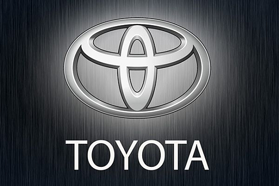 Представителям компании Toyota показали Музей одной картины