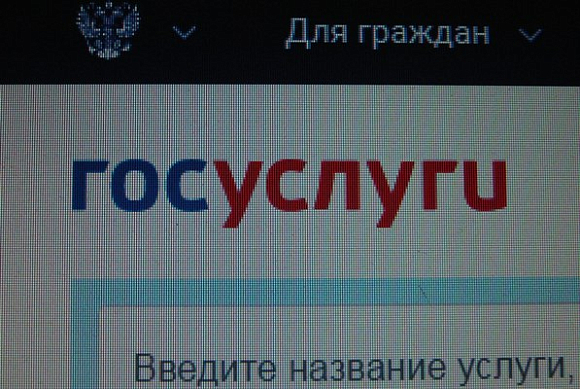 У пензенцев популярны электронные услуги ЗАГСа, запись в детсад и к врачу