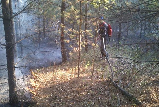 В Пензенской области потушили 3 лесных пожара
