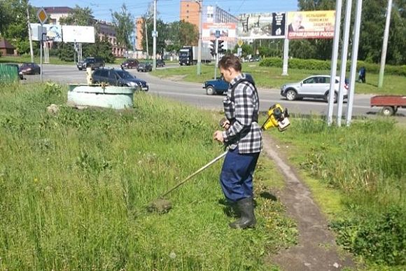 В Пензе скосили более 2 тыс. кв. метров травы