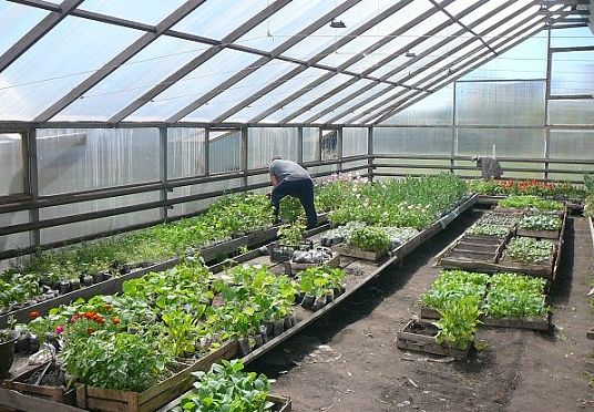 В Пензе началась «битва» аграрных бизнес-проектов