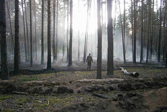 В Сосновоборском районе потушили лесной пожар