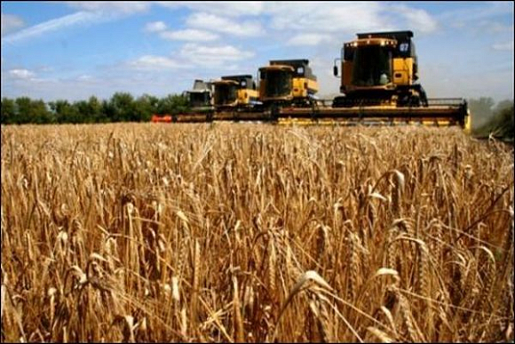 Пензенская область заняла первое место в ПФО по урожайности зерновых
