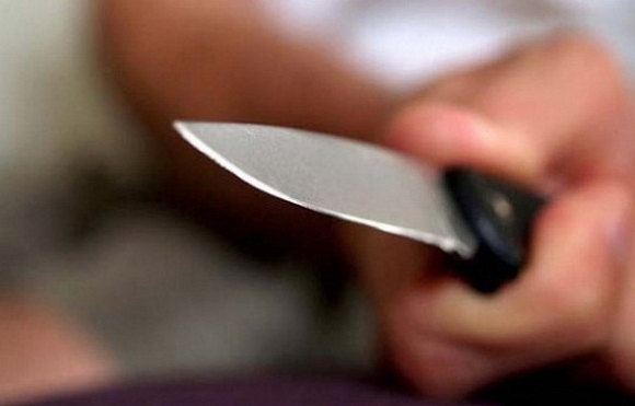 В Пензенской области женщина напала на своего сына с ножом