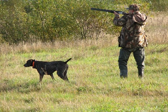 В Пензенской области отложено начало охотничьего сезона