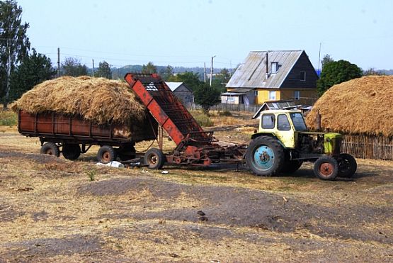 Шесть пензенских районов начали заготовку кормов