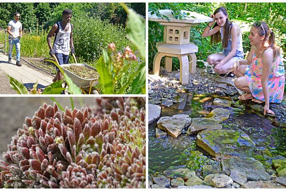 В Пензе посетители ботанического сада в шоке от его красот