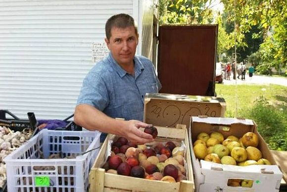 В Пензе глава района нашел три незаконные «фруктовые» точки