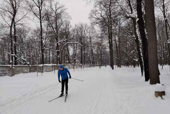 В Пензенской области 12 февраля пройдет гонка «Лыжня России»