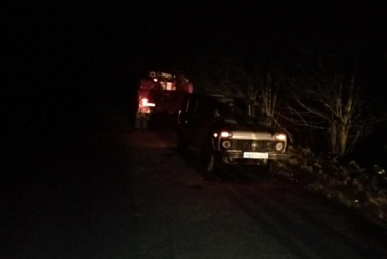 В лесу Шемышейского района заблудились две женщины
