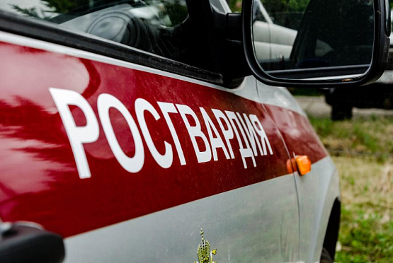 В Пензе росгвардейцы задержали двух мужчин с автомагнитолой