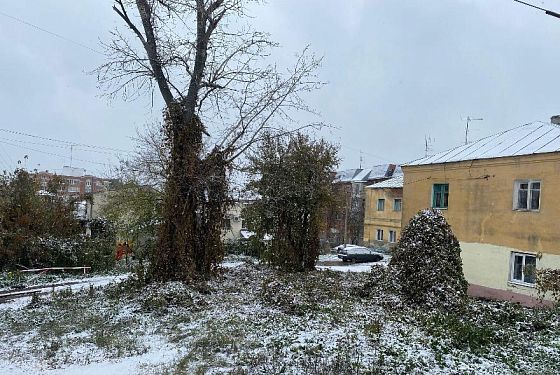 В Пензе выпал первый снег: какой ждать зимы