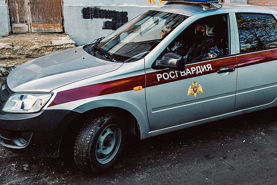 В Пензенской области задержали подозреваемую в угоне двух автомобилей