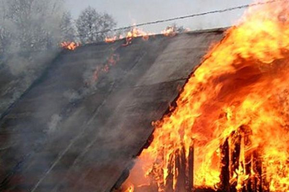 В Бессоновском районе сгорело 10 дачных домов