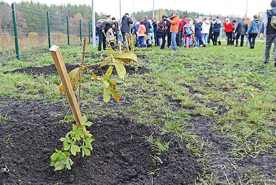 В Пензенской области 22 марта стартует месячник по благоустройству