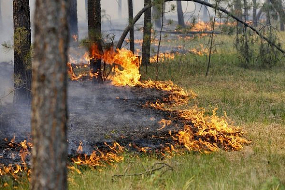 В нескольких районах Пензенской области объявлен 5-ый класс пожарной опасности