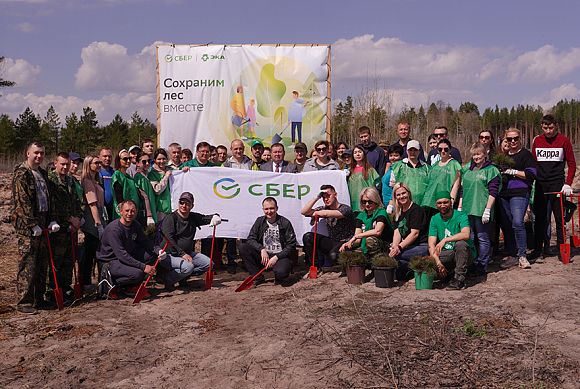 Сбер в Пензенской области в очередной раз провел акцию «Сохраним лес вместе»