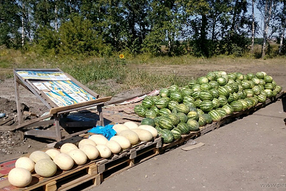 Пензенские чиновники искали торговцев-нелегалов на ФАД «Урал»