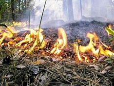 Пензенцев обеспечат средствами тушения пожаров
