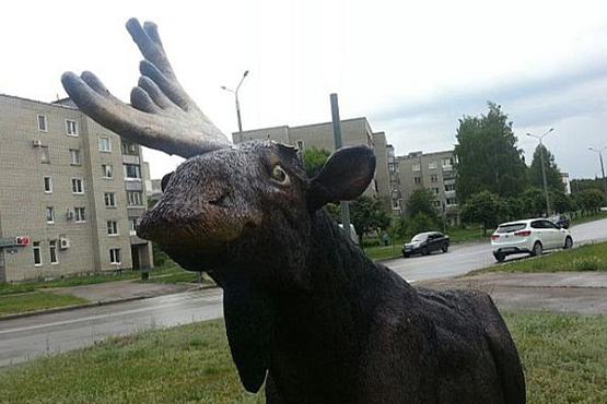 В Заречном вандалы отломали лосю рог