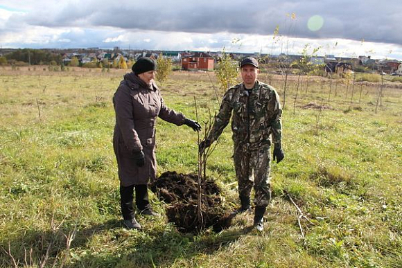 В пензенском микрорайоне Заря создали Аллею полярников