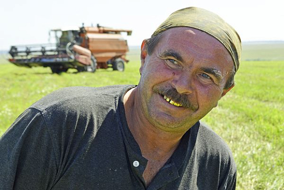 В Пензенской области идет уборка зерновых
