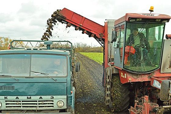 В Пензенской области аграрии намолотили 1,7 млн тонн зерна