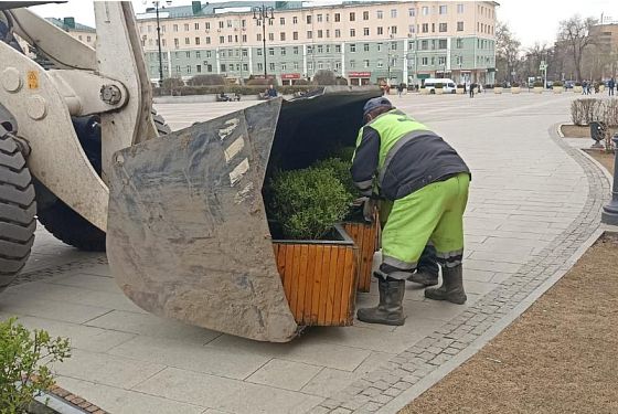 В Пензе на площадь Ленина вернулись вазоны с кустарниками