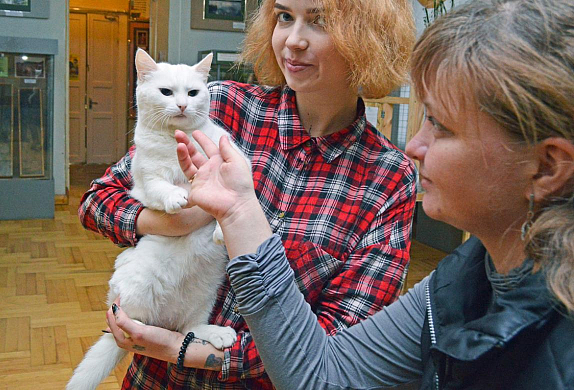 Пензенцев приглашают погладить кошку стоимостью 10 тыс $