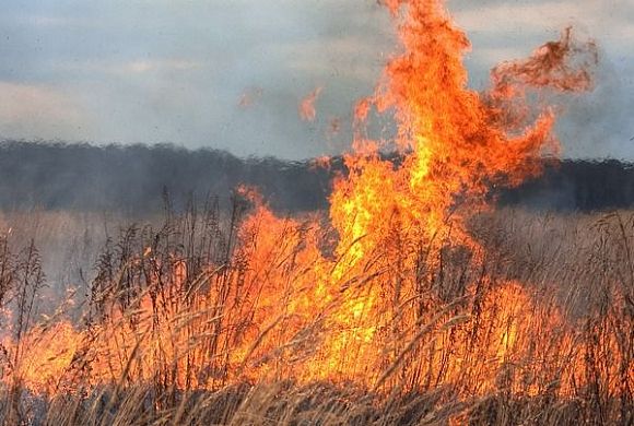 Ежедневно в Пензенской области фиксируется до 30 очагов возгорания сухой травы