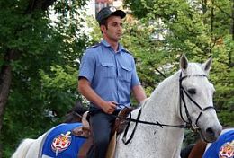 В Пензенской области появилась конная полиция