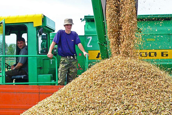  В Пензенской области произвели первый миллион тонн зерна