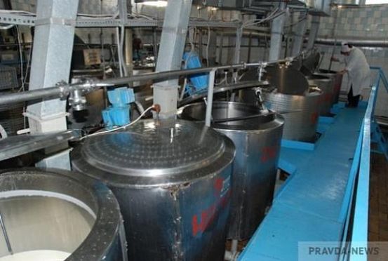 В сельхозорганизациях области производство молока увеличилось на 40 тыс. тонн