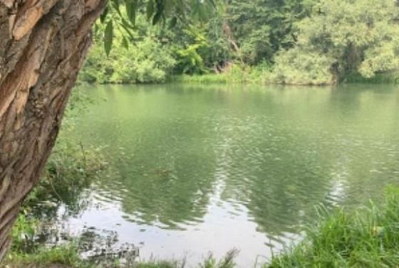 Пензенцы нашли тело утонувшего в реке рыбака