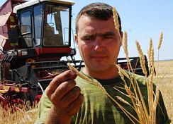 Уборочная компания зерновых в Пензенской области завершилась