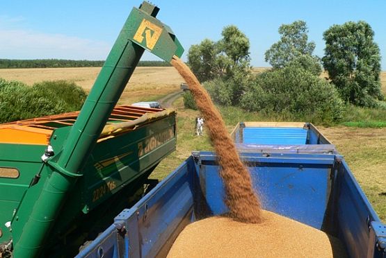 В Пензенской области собрали 2 млн тонн зерна