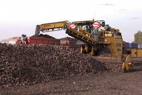 В Пензенской области планируется собрать 1,2 млн. тонн сахарной свеклы