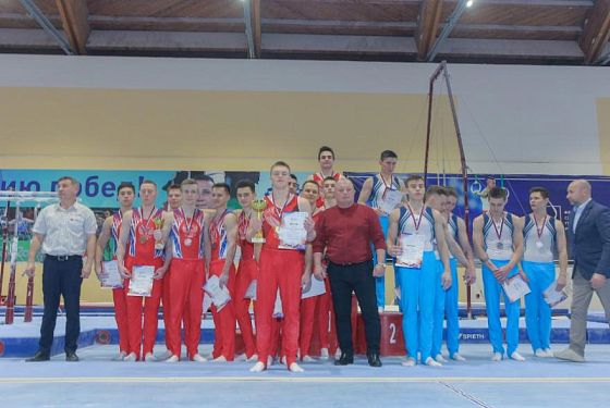 Пензенские гимнасты успешно выступили на чемпионате ПФО  