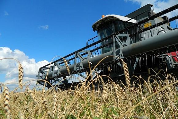 Пензенская область — лидер по урожайности зерновых среди регионов ПФО