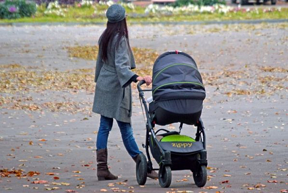 В Пензенской области увеличат число квот на ЭКО