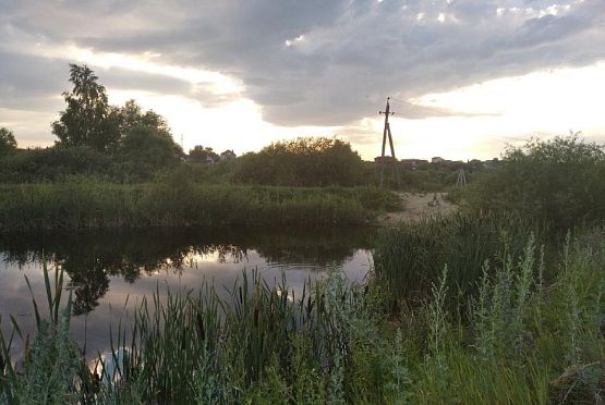 В Пензенской области в водоемах в этом году утонули 28 жителей